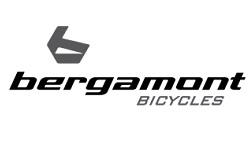 Bergamont